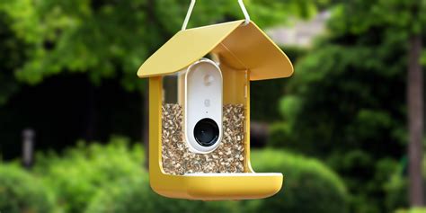 Новое слово в мире наблюдения за птицами: обзор смартфона Vivo X300 Ultra